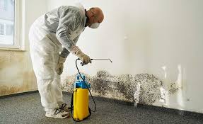 Best Mold Remediation for Healthcare Facilities  in Morgantown, PA