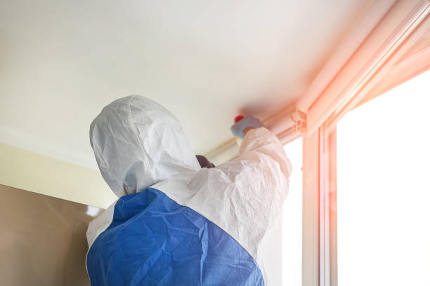 Best Mold Odor Removal Services  in Morgantown, PA