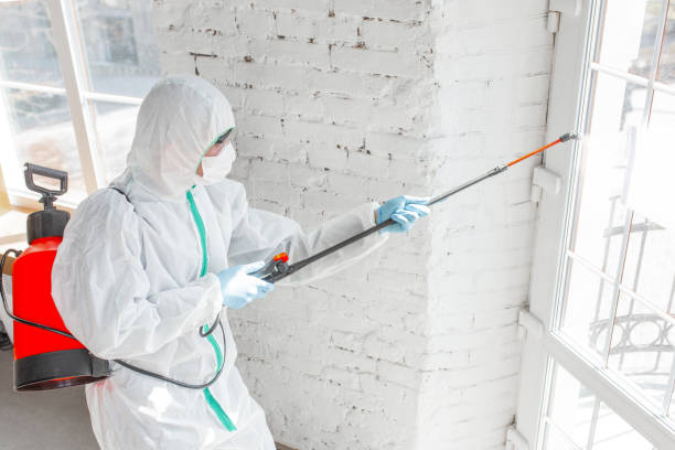 Best Environmental Consulting for Mold Prevention  in Morgantown, PA