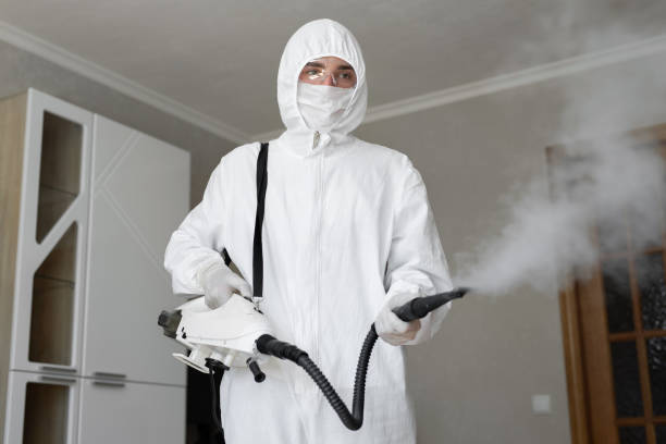 Best Biohazard Mold Removal  in Morgantown, PA